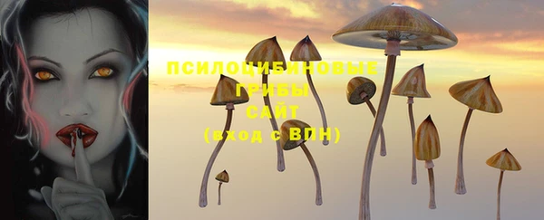 прущая мука Алзамай