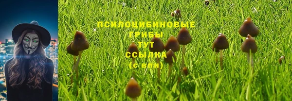 прущая мука Алзамай