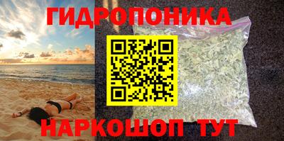a pvp Тара